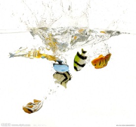 小丑鱼入水飞溅