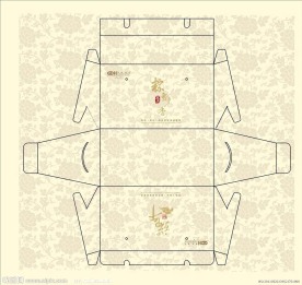 端午节粽子包装设计
