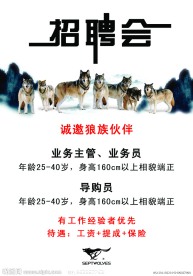 七匹狼招聘会海报