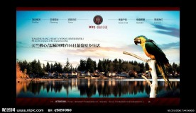 房地产网站模板