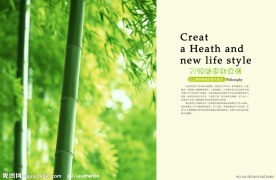 健康食品画册内页