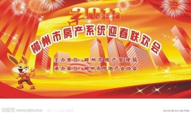 房地产春节联欢会