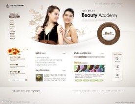 美容网站模板PSD分层（无网页源码）