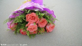 玫瑰花