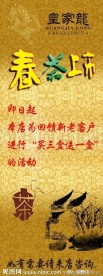 春茶上市
