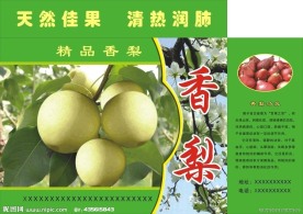 香梨子绿色包装盒