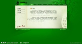 包装 绿色 网站模板