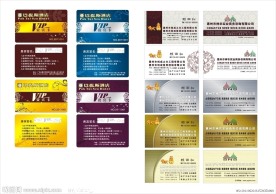 高档VIP卡 名片版