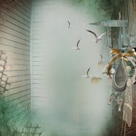 船海鸥相片背景