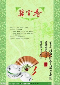 碧雪春绿茶海报