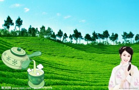 古典美女茶背景