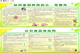 食品添加剂展板设计模板