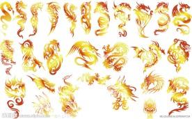 金龙纹身图案矢量