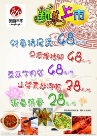 新菜上市手绘海报