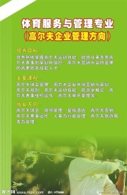 高尔夫海报