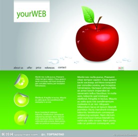 精品网站模板素材