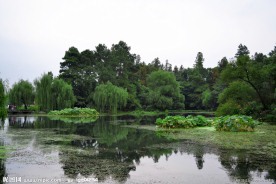 绿色西湖