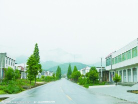 新农村