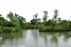 西溪国家湿地公园