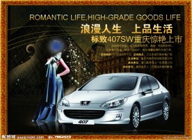 东风标志407展板背景