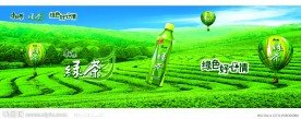 绿茶海报