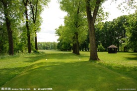 草地草坪风光摄影