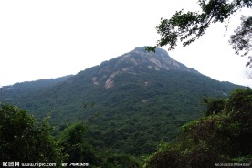深圳园山风景