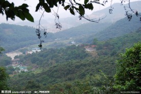 深圳园山风景