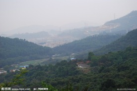 深圳园山风景