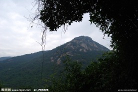 深圳园山风景