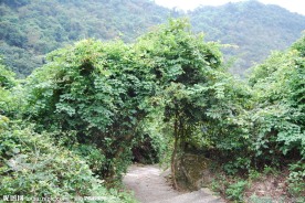 深圳园山风景