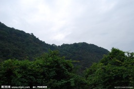 深圳园山风景