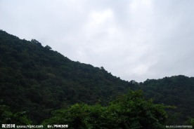 深圳园山风景