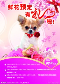 邮政情人节鲜花预定海报