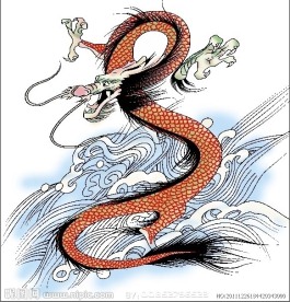 龙图腾