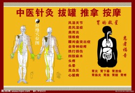 针灸医学展板