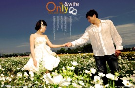 婚纱摄影模板