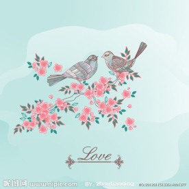 情人节爱情鸟背景