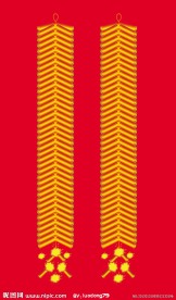 新年红地毯鞭炮 喜庆红炮