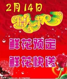 情人节鲜花预定（部分位图组成）