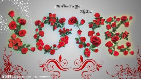 情人节 Love 壁纸