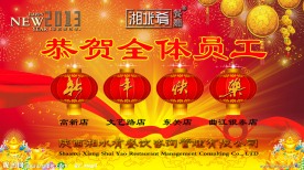 2013迎新晚会舞台背景