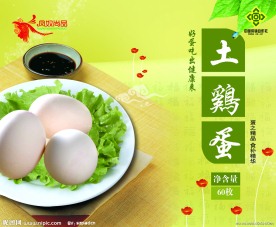 土鸡蛋包装盒