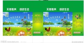 土鸡蛋绿色包装
