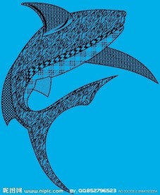 单色海豚
