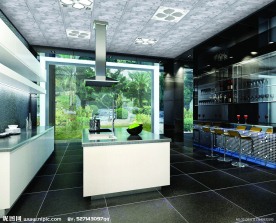 圆美艺术吊顶厨房效果图