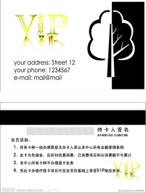 至尊vip素材模板 会员卡