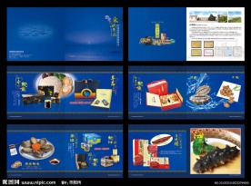 东欣食品画册