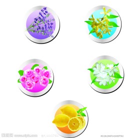 广告素材花朵水果图标