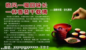 湖南华莱安化黑茶素材